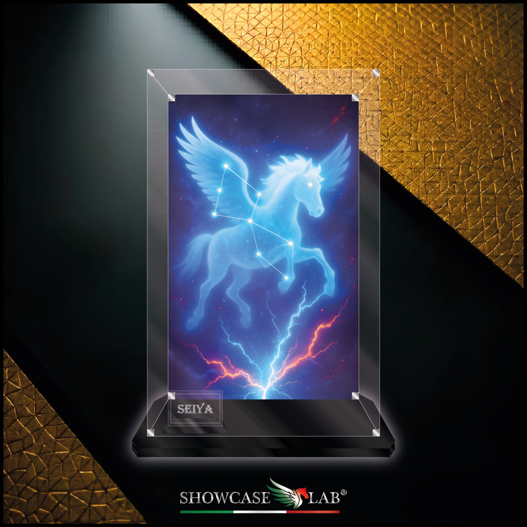 Teca AF26 | Per Saint Seiya Myth Cloth - Seiya - Pegasus.