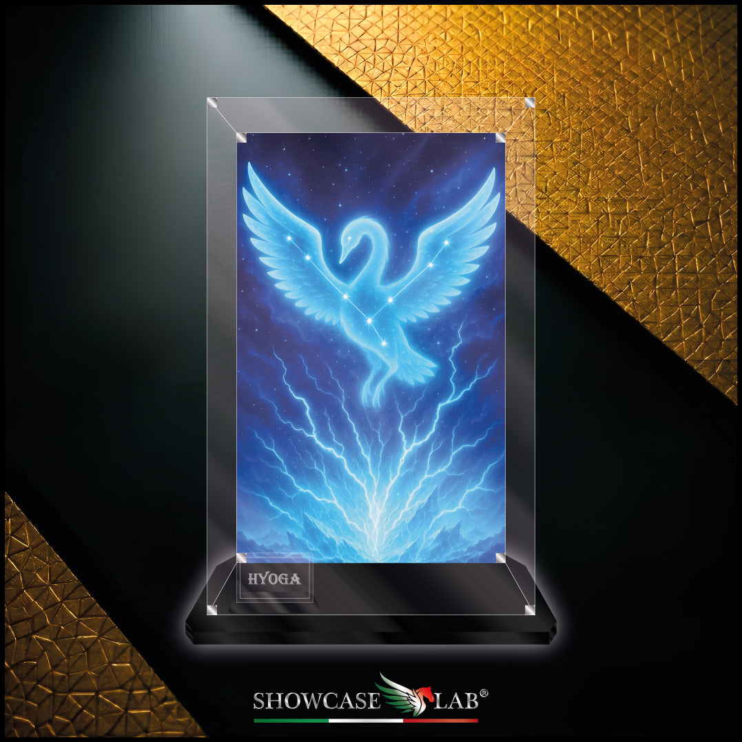Teca AF28 | Per Saint Seiya Myth Cloth - Hyoga - Crystal il cigno.