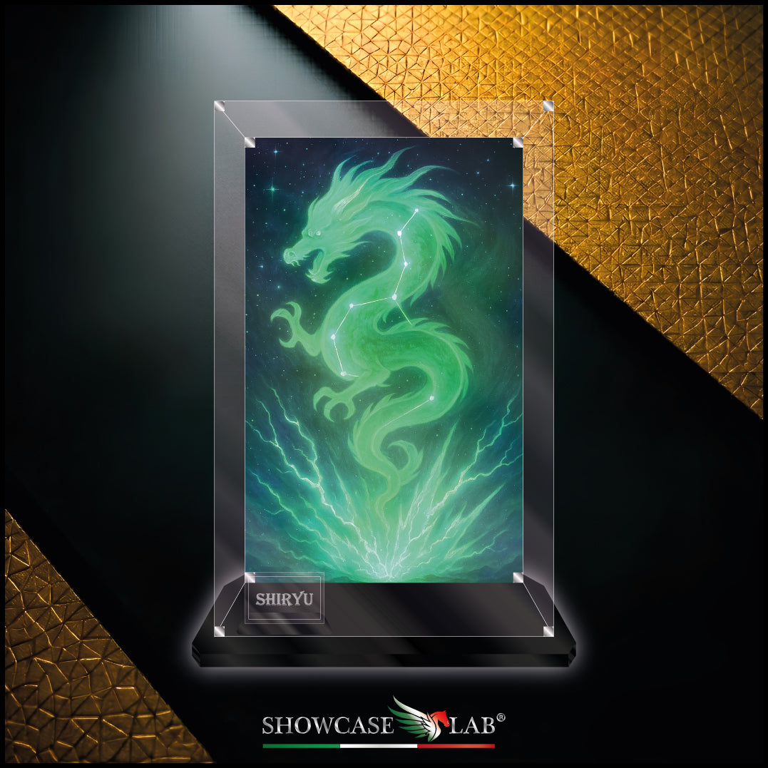 Teca AF29 | Per Saint Seiya Myth Cloth - Shiryu - Sirio il dragone..