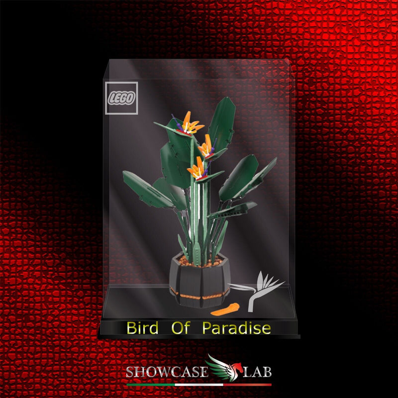 Teca L66  Per Set Lego 10289 Uccello del Paradiso – Showcase Lab 🇮🇹